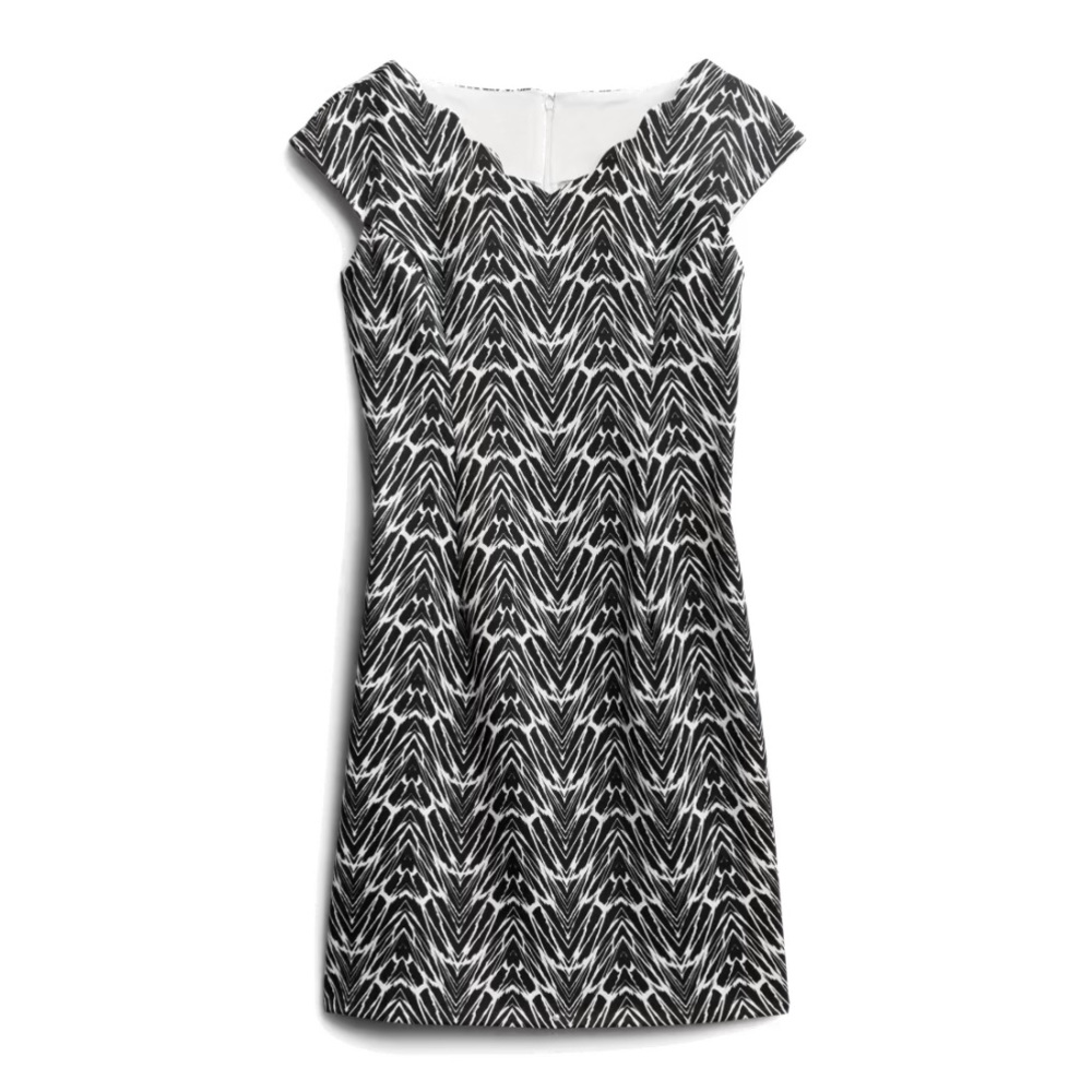 NWT WISP Marianna Scallop Detail Knit Dress